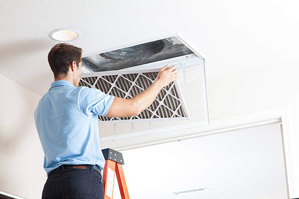 Best HVAC air duct cleaning  in Bear Valley Springs, CA